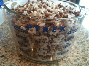 5.8 cups of grass fed beef and rice