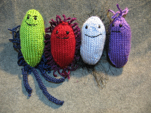four_bacteria